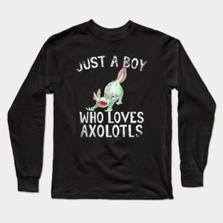 Just A Boy Who Loves Axolotls Long Sleeve T-Shirt